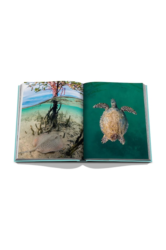 Assouline book Saudi Arabia: Red Sea, the Saudi Coast by Christopher Smit, English 9781649800848