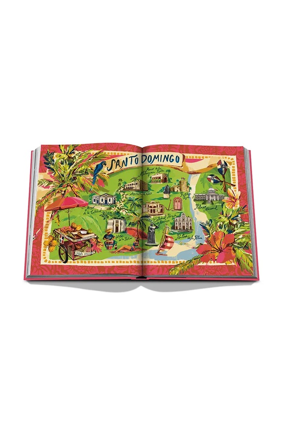 Knjiga Assouline Santo Domingo by David Collado, Rosanna Rivera, English šarena 9781649801203