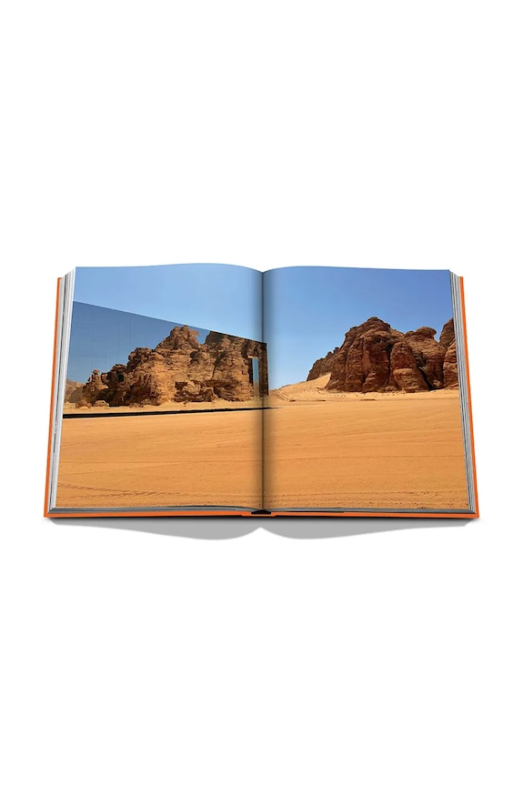 Assouline Alula Ever de Jerome Garcin, engleză multicolor 9781649801562