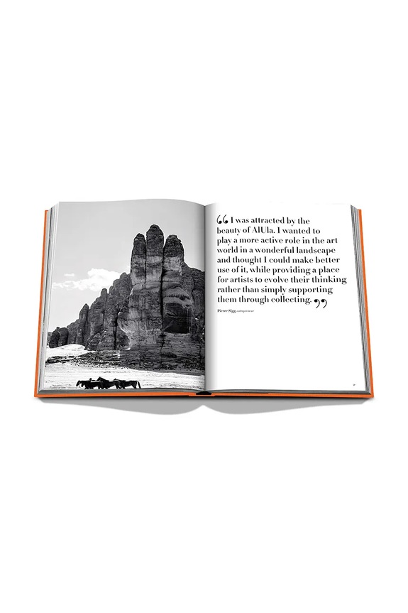 Kniha Assouline Alula Ever by Jerome Garcin, English 9781649801562
