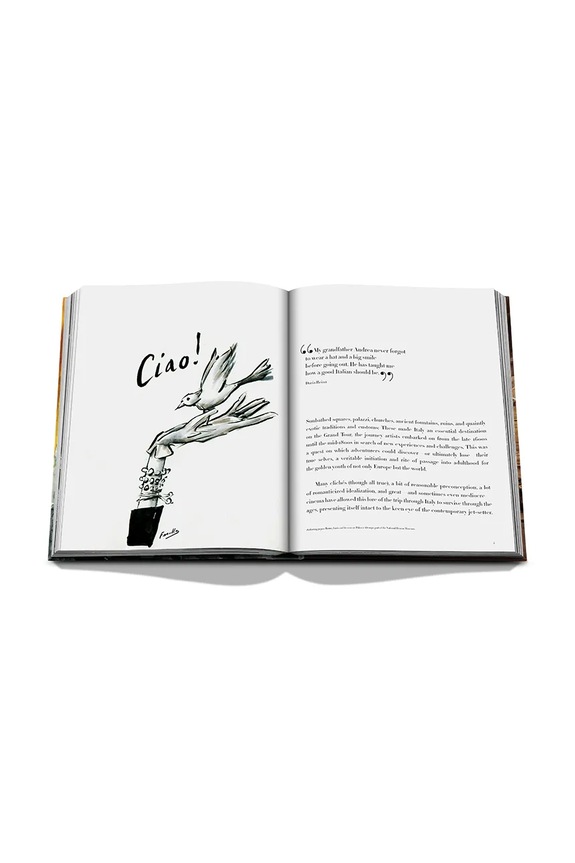 Kniha Assouline Italian Chic by Daria Reina, Andrea Ferolla, English viacfarebná 9781614286806
