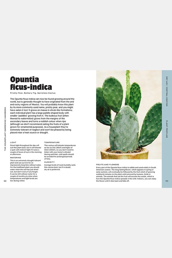 home & lifestyle book Houseplant Handbook by Maddie and Alice Bailey, English HG1271 turquoise