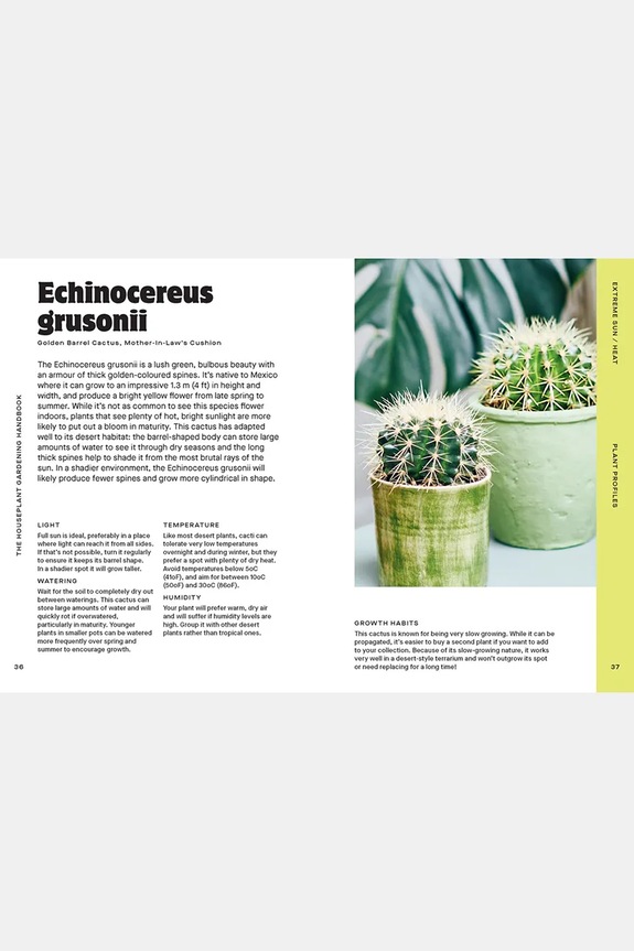 home & lifestyle book Houseplant Handbook by Maddie and Alice Bailey, English HG1271