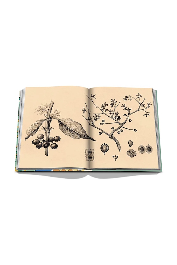 Assouline book Saudi Coffee: The Culture of Hospitality, English 9781649801722