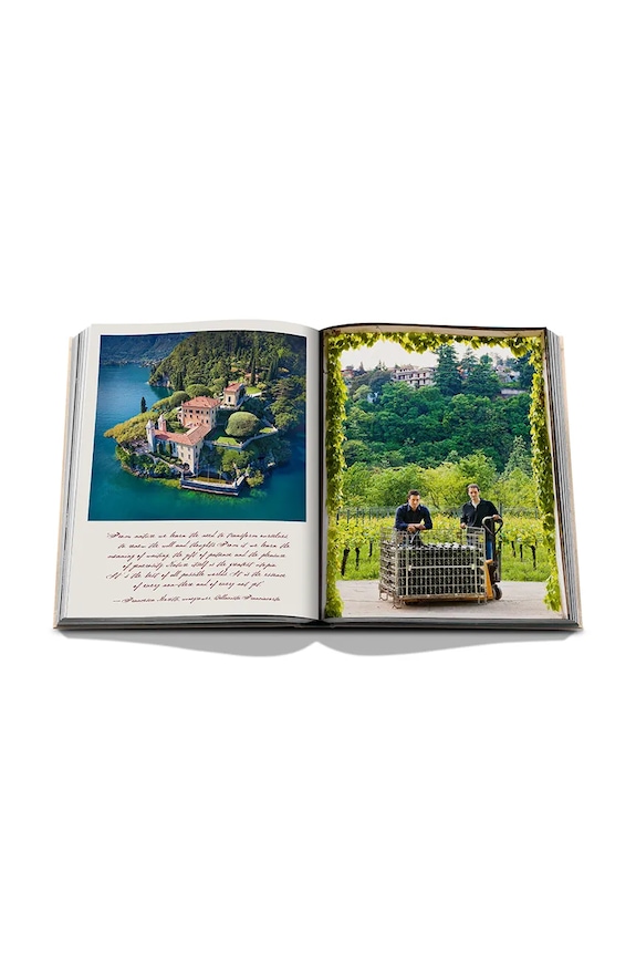 Kniha Assouline Wine & Travel Italy by Enrico Bernardo, English 9781649804181