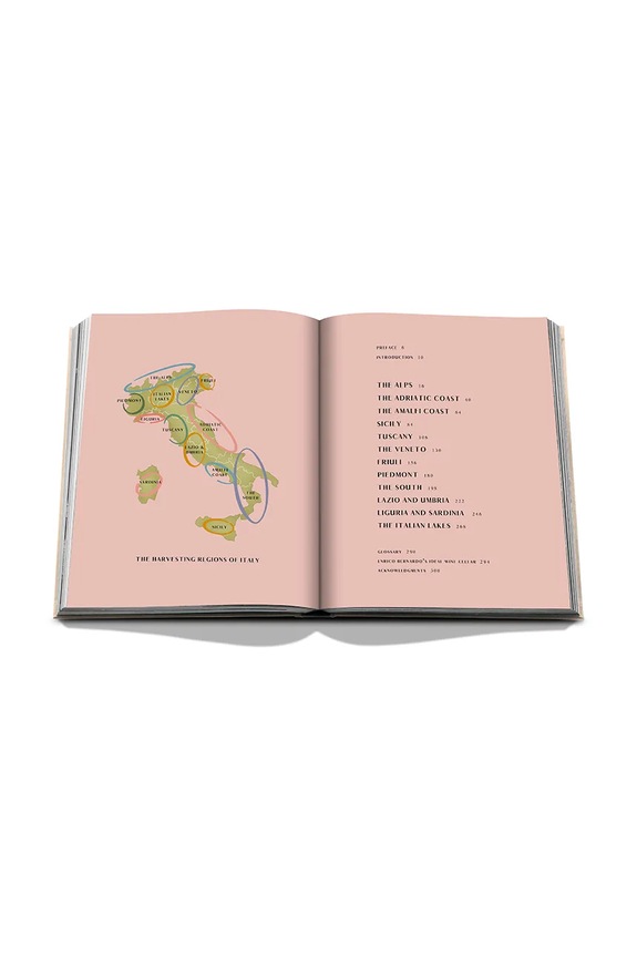 Kniha Assouline Wine & Travel Italy by Enrico Bernardo, English vícebarevná 9781649804181