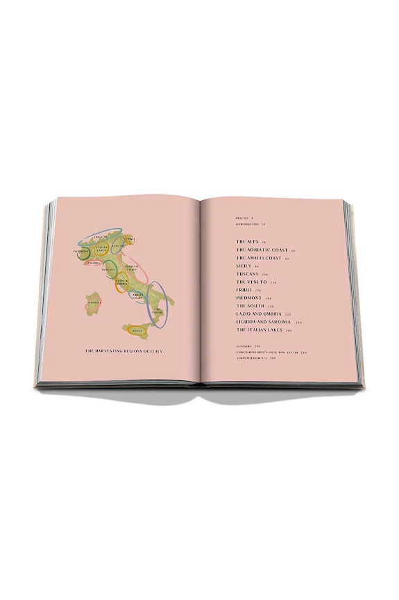 Kniha Assouline Wine & Travel Italy by Enrico Bernardo, English vícebarevná 9781649804181