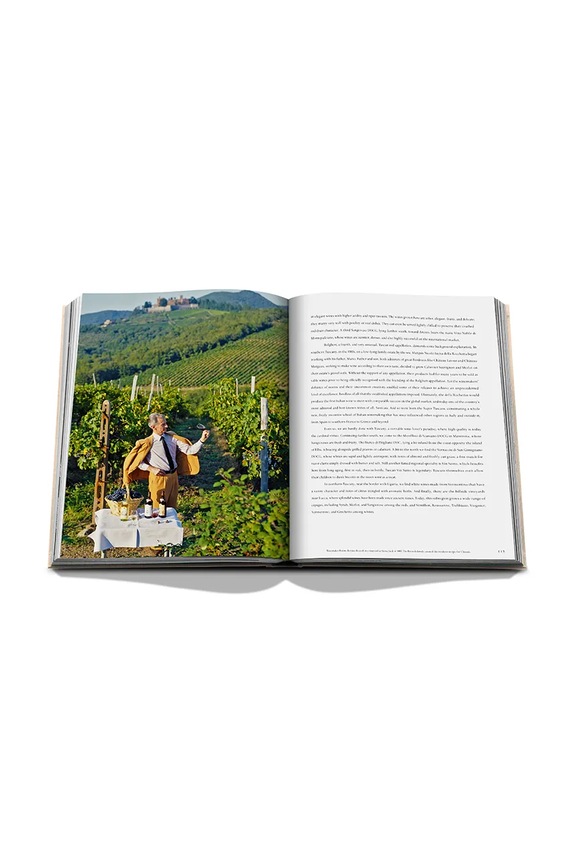 Kniha Assouline Wine & Travel Italy by Enrico Bernardo, English 9781649804181
