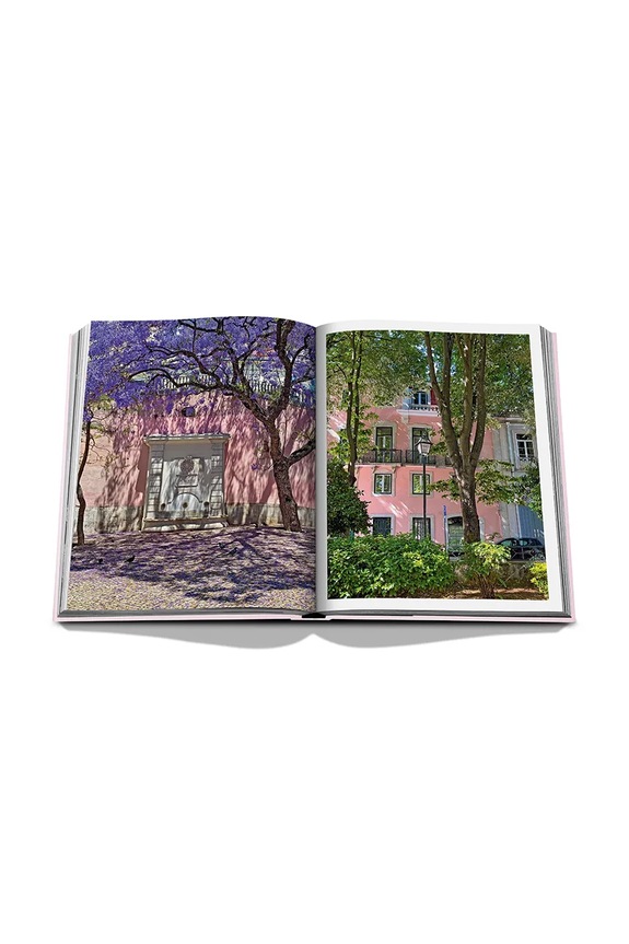 Kniha Assouline Lisboa Luz by Carlos Souza and Charlene Shorto, English 9781649801012