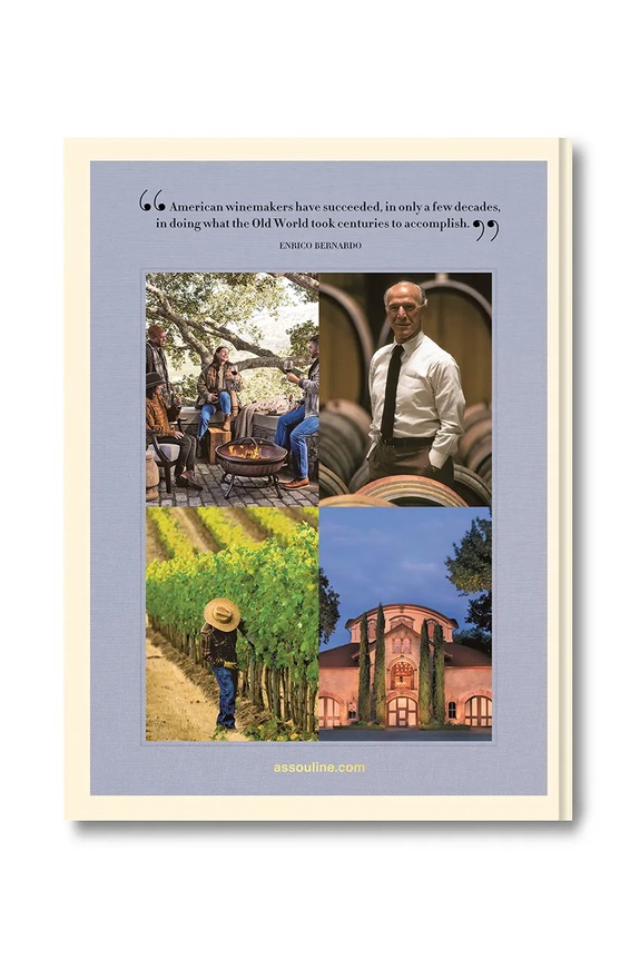Accessories Assouline book Wine & Travel USA, Enrico Bernardo, English 9781649804365 multicolor