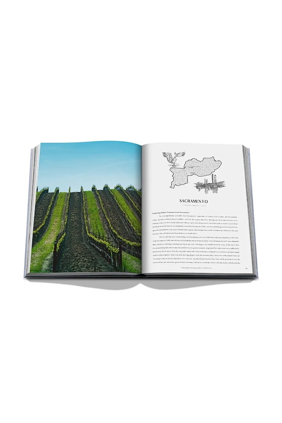 Assouline book Wine & Travel USA, Enrico Bernardo, English 9781649804365