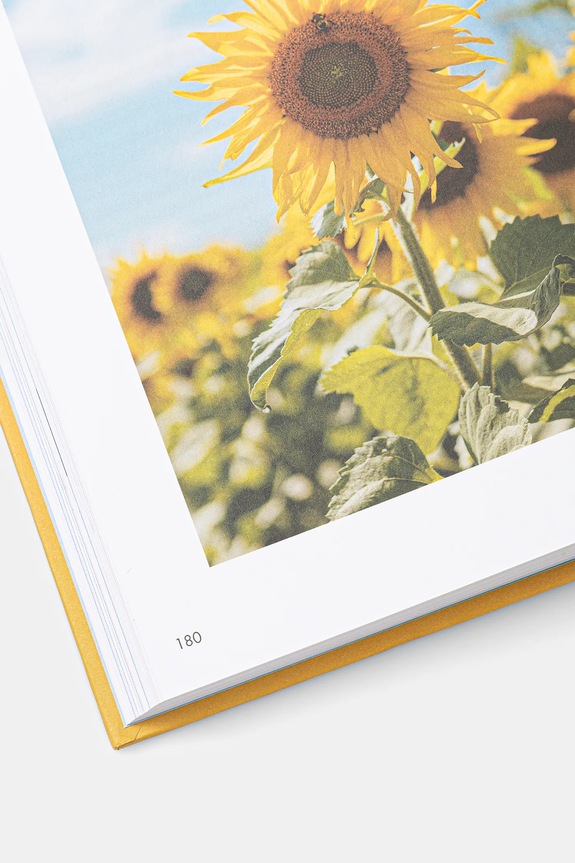 Βιβλίο home & lifestyle The Art of Danish Living by Meik Wiking, English PE1092 πολύχρωμο AA00