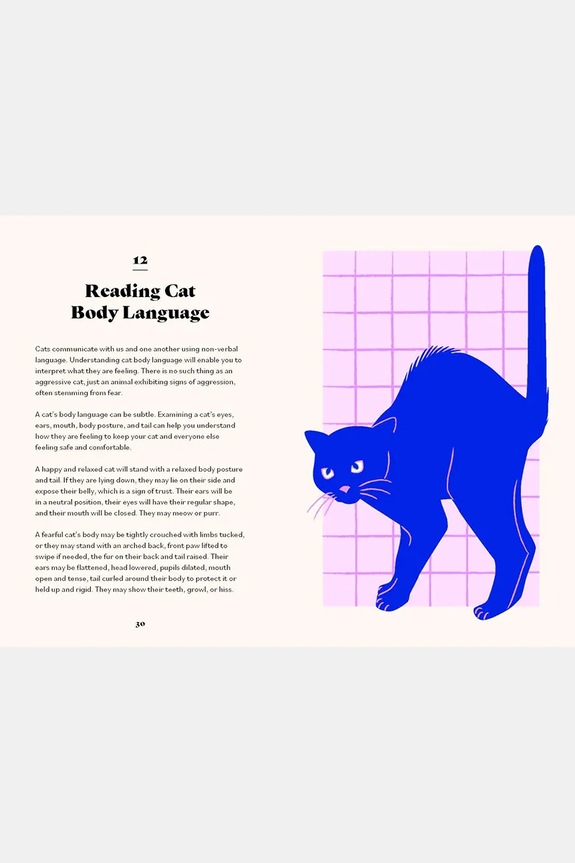home & lifestyle książka The Ultimate Guidebook for Cat Owners by Naughton Hannah, English multicolor SSB1070