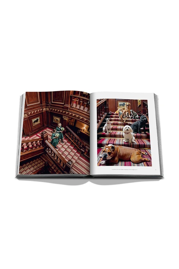 Kniha Assouline The Connaught Hotel by Bill Prince, English viacfarebná 9781649803795