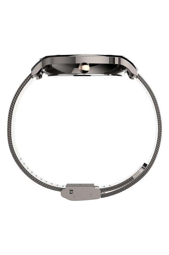 Timex - Hodinky TW2T74700 TW2T74700 stříbrná AA00
