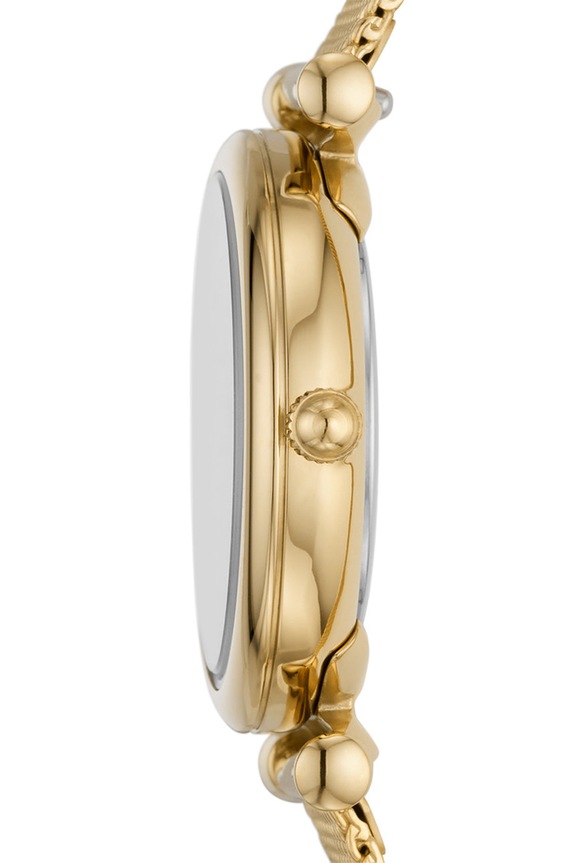 Fossil - Ceas ES5020 ES5020 aur AA00