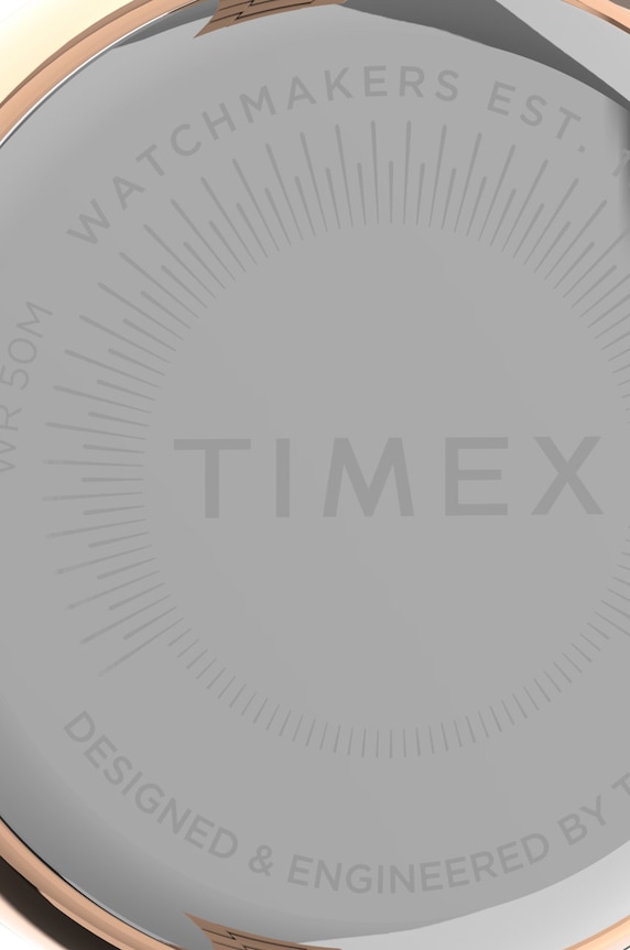 Hodinky Timex Tw2v24600 City TW2V24600 zlatá