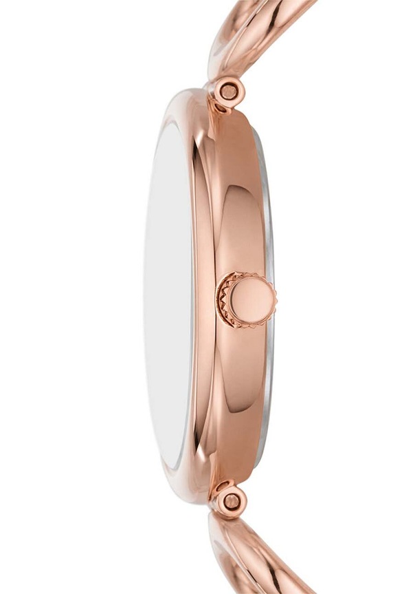 Accesorii Fossil ceas ES5273 aur