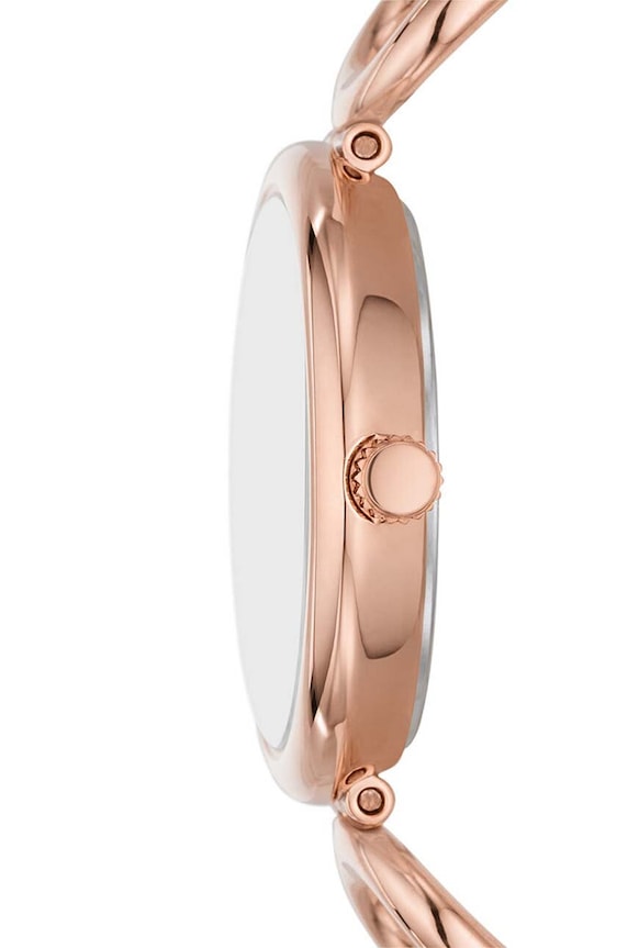 Accesorii Fossil ceas ES5273 aur