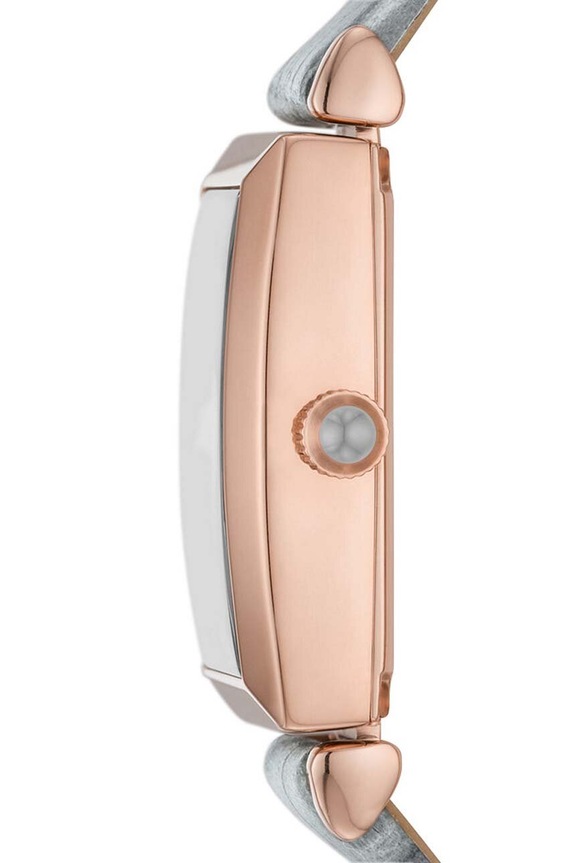 Doplnky Hodinky Emporio Armani AR11504 sivá