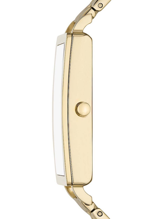 Accesorii Skagen ceas SKW3098 aur