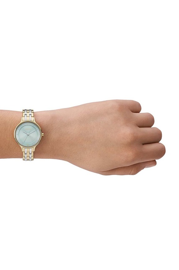 Skagen zegarek złoty SKW3132