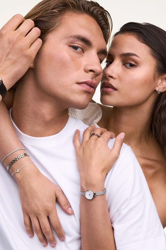 Daniel Wellington cercei DW00401019 argintiu