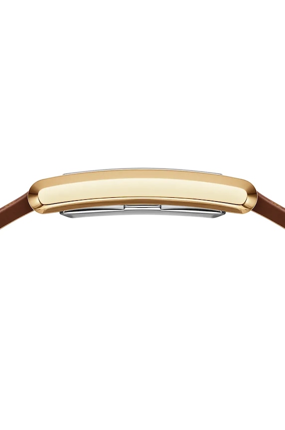 Hodinky Daniel Wellington hnědá DW00100696