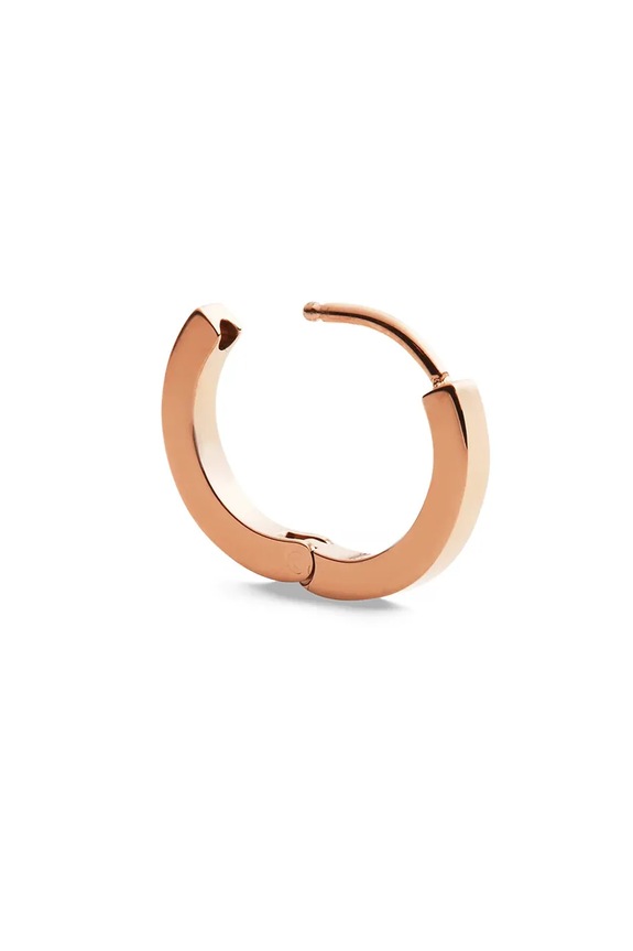 Accesorii Daniel Wellington cercel DW00400862 aur
