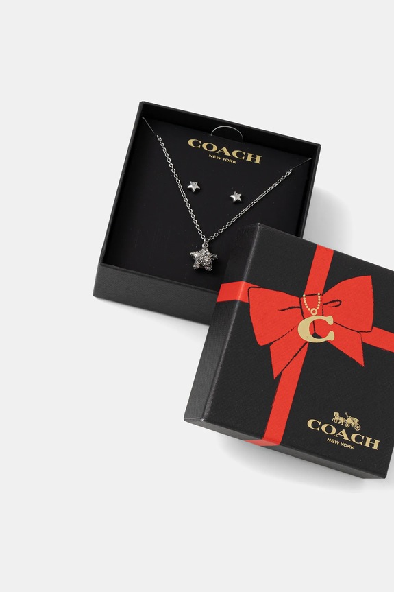 Accesorii Coach set de bijuterii în cutie de cadou 37541361RHO111 argintiu
