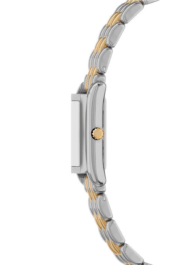 Michael Kors ceas pentru femei Essex multicolor MK4999