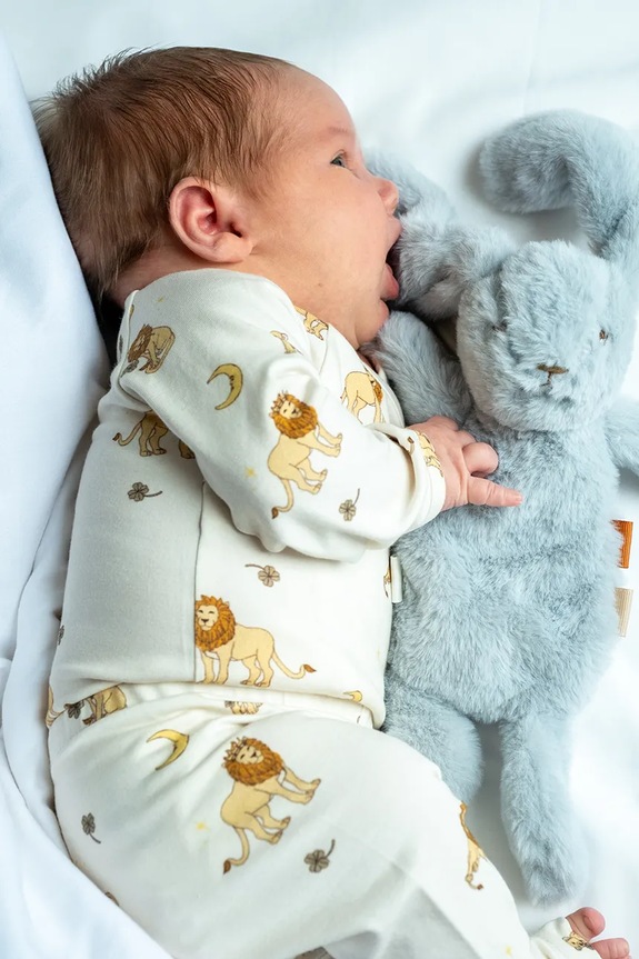 Chlapec That's mine dojčenská plyšová hračka (mojkačik) Houston heavy teddy mini 224194 modrá
