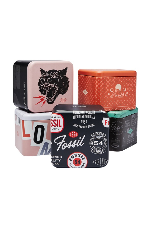 Fossil Zegarek FS5688 FS5688