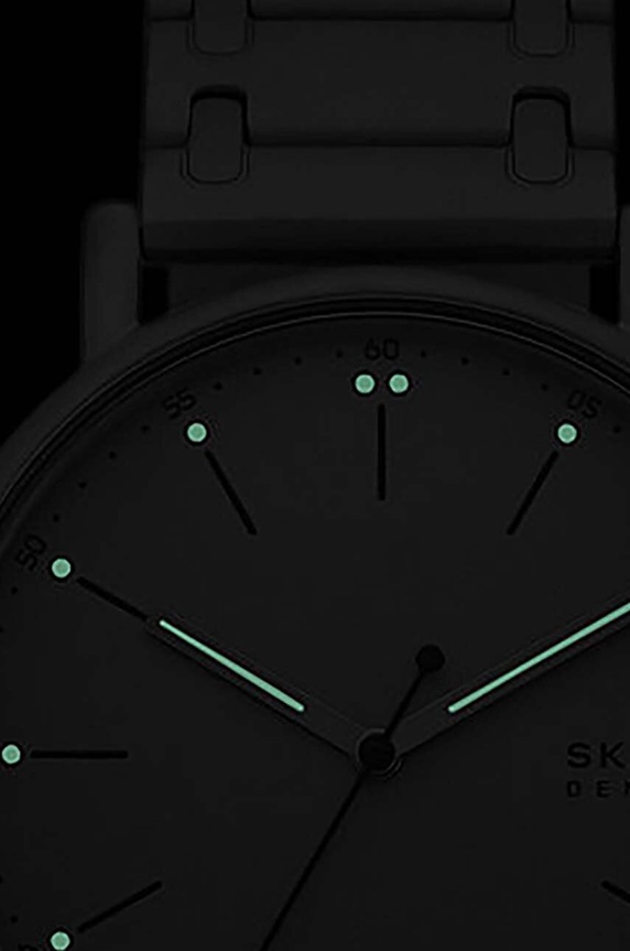 Hodinky Skagen šedá SKW6913