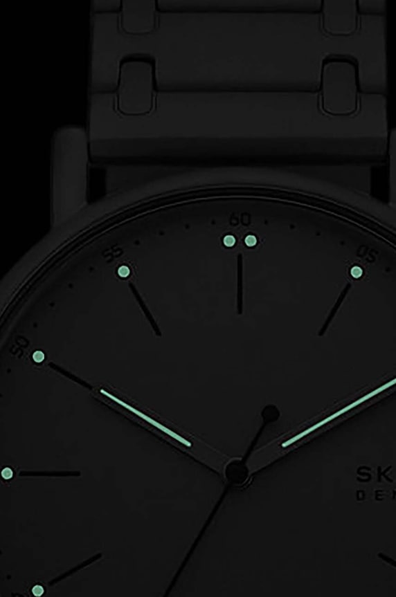 Hodinky Skagen šedá SKW6913