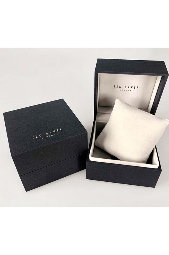Hodinky Ted Baker stříbrná BKPMMS119