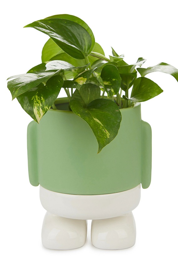 Balvi virágcserép 20 x 17 x 14,5 cm zöld 27524