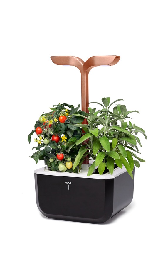 Veritable autonomiczny ogródek domowy Exky Smart czarny VEXK.SSBCO.FR.42