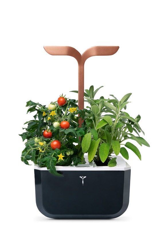 Veritable autonomiczny ogródek domowy Exky Smart VEXK.SSBCO.FR.42 czarny AA00