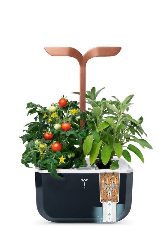 Salon i sypialnia Veritable autonomiczny ogródek domowy Exky Smart VEXK.SSBCO.FR.42 czarny