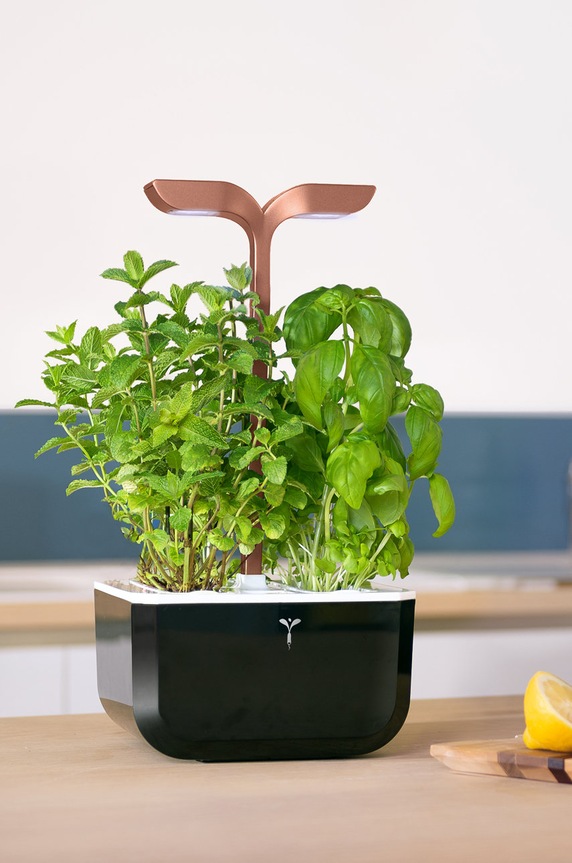 Veritable autonomiczny ogródek domowy Exky Smart czarny VEXK.SSBCO.FR.42