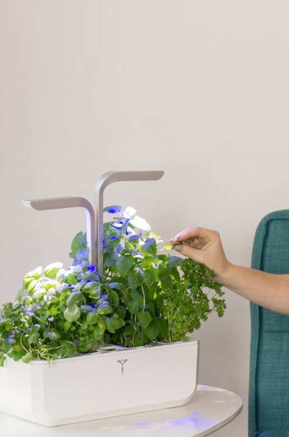 Veritable autonomiczny ogródek domowy Smart VPOT.SSBAS.PL.27