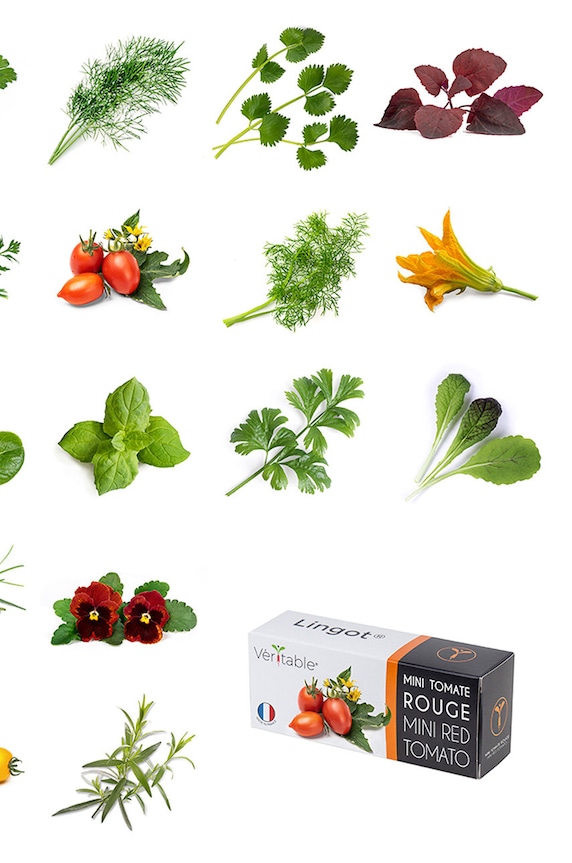 Veritable - Insertie de seminte salata verde VLIN.L5.Lai01B