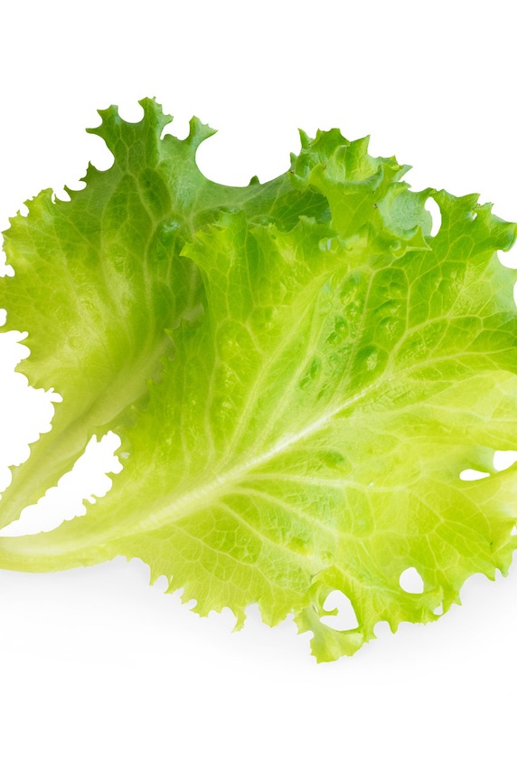 Veritable - Insertie de seminte salata verde VLIN.L5.Lai01B multicolor AA00