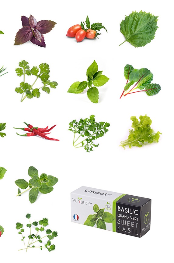 Veritable - Insertie de seminte salata verde VLIN.L5.Lai01B