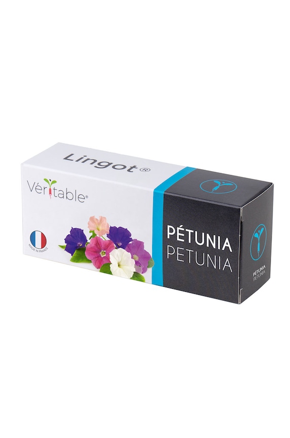 Veritable - Insertie de seminte petunii multicolor VLIN.F5.Pet02A