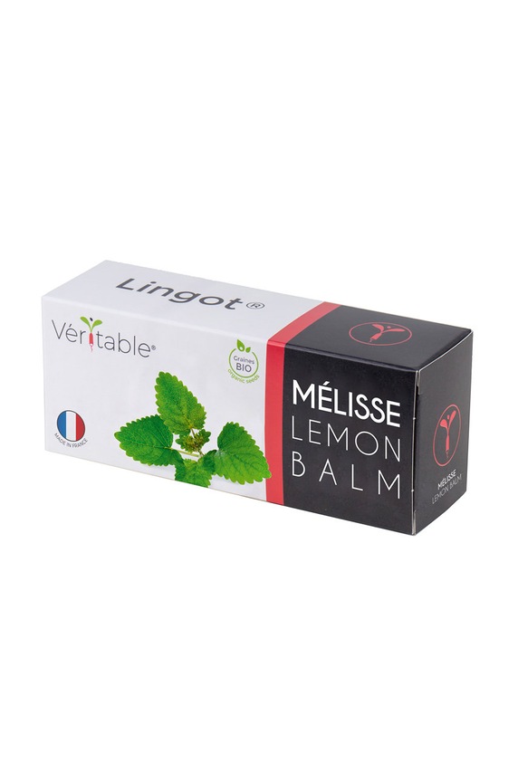 Veritable - Insertie de seminte busuioc mamut multicolor VLIN.A10.Mel00A