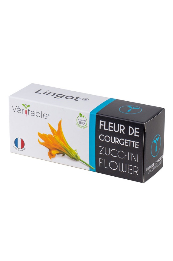 Veritable wkład nasienny Cukinia 13 x 4 x 5 cm multicolor VLIN.F5.Cou015