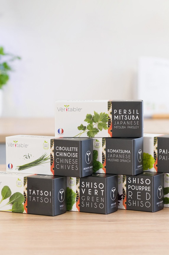 Salon i sypialnia Veritable wkład nasienny Cukinia 13 x 4 x 5 cm VLIN.F5.Cou015 multicolor