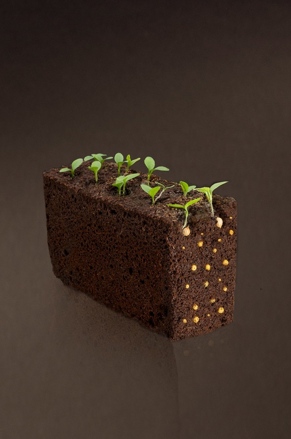 Veritable wkład nasienny Cukinia 13 x 4 x 5 cm VLIN.F5.Cou015 multicolor